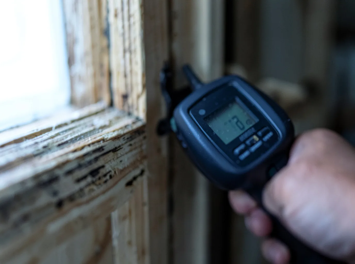 Moisture Inspection And Documentation in Bridgeport, IL